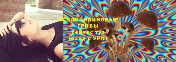 дурь Верхний Тагил