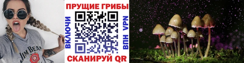 Галлюциногенные грибы Magic Shrooms Невель
